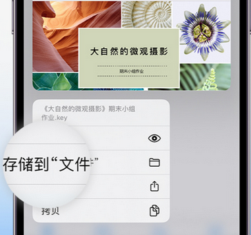 汤原apple维修中心分享iPhone文件应用中存储和找到下载文件