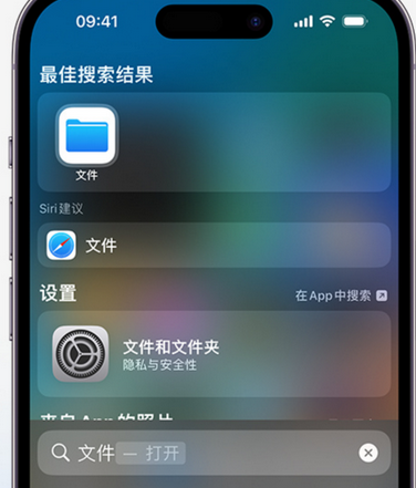 汤原apple维修中心分享iPhone文件应用中存储和找到下载文件 