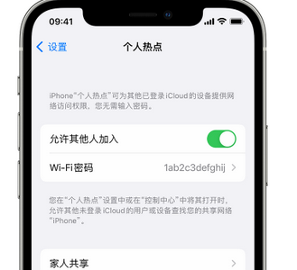 汤原apple服务站点分享iPhone上个人热点丢失了怎么办