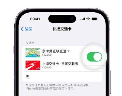 汤原apple维修点分享iPhone上更换Apple Pay快捷交通卡手绘卡面 