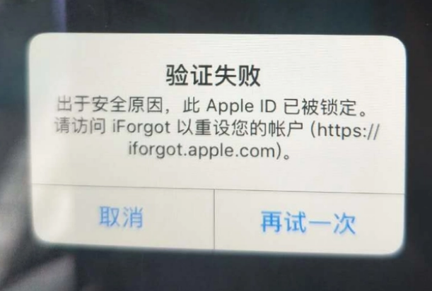 汤原iPhone维修分享iPhone上正常登录或使用AppleID怎么办 