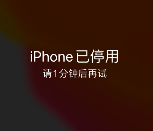 汤原苹果手机维修分享:iPhone 显示“不可用”或“已停用”怎么办？还能保留数据吗？ 