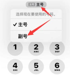 汤原苹果14维修店分享iPhone 14 Pro Max使用副卡打电话的方法 