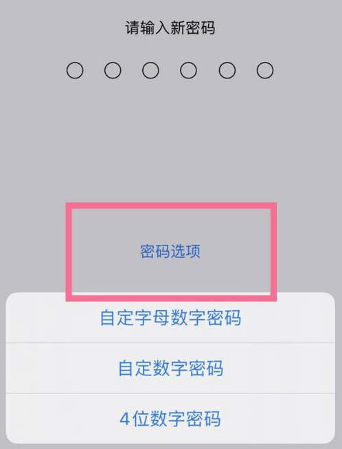 汤原苹果14维修分享iPhone 14plus设置密码的方法 