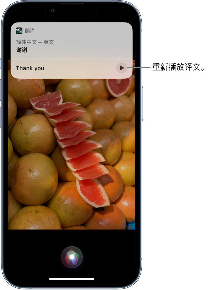 汤原苹果14维修分享 iPhone 14 机型中使用 Siri：了解 Siri 能帮你做什么 