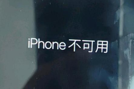 汤原苹果服务网点分享锁屏界面显示“iPhone 不可用”如何解决 