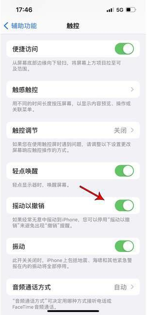 汤原苹果手机维修分享iPhone手机如何设置摇一摇删除文字 